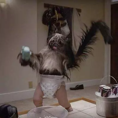 puppy monkey baby meme image