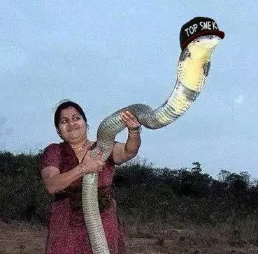 this is snek