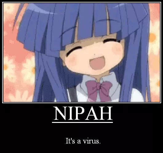 nipah meme image