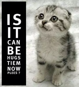 is it can be hugs tiem now plees meme image