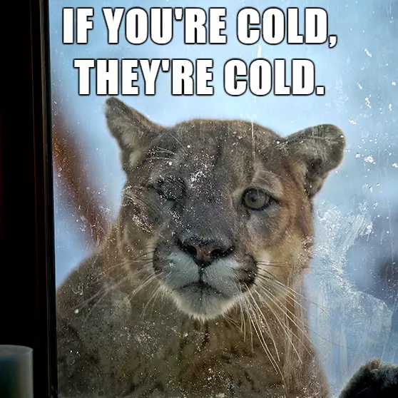 if youre cold theyre cold meme image