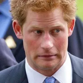 prince harrys naked army meme image