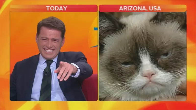 reporter laughing at cat meme image