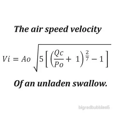 what is the airspeed velocity of an unladen swallow