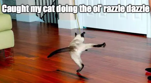 the ol razzle dazzle meme image
