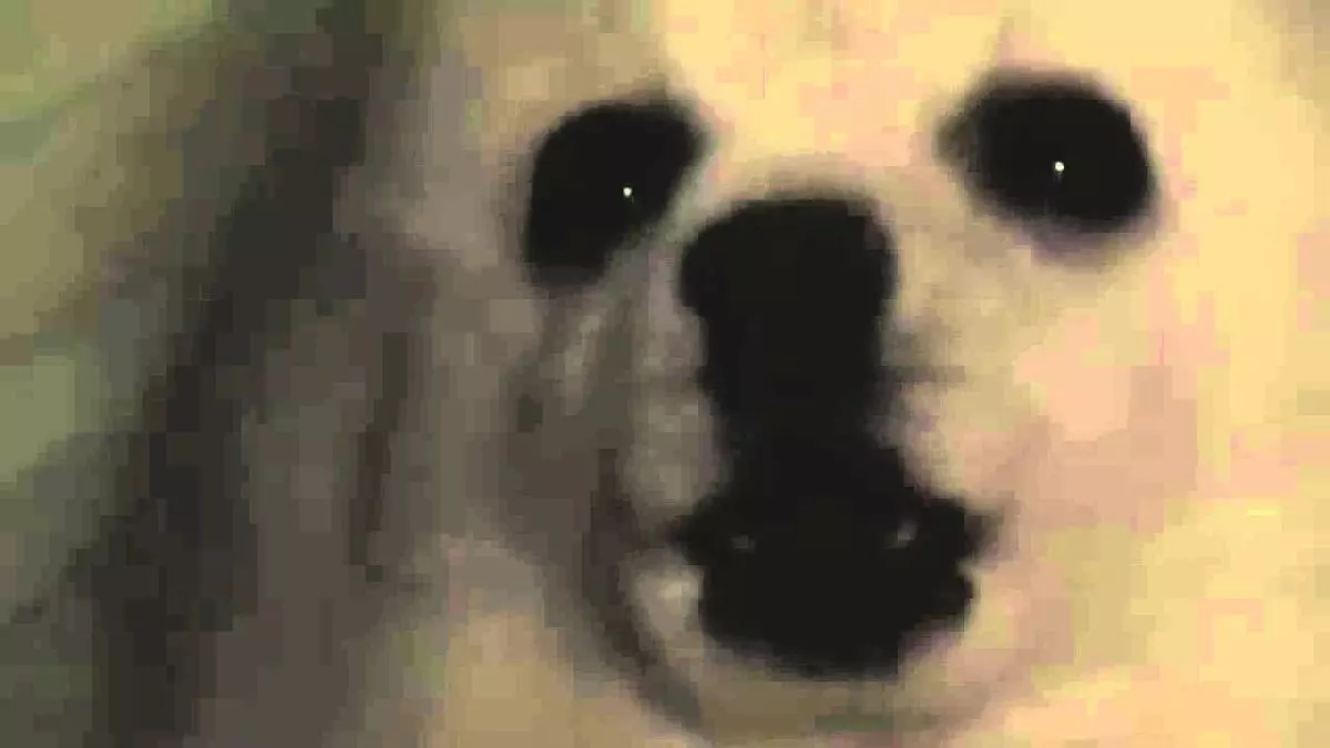 gabe the dog bork remixes meme image