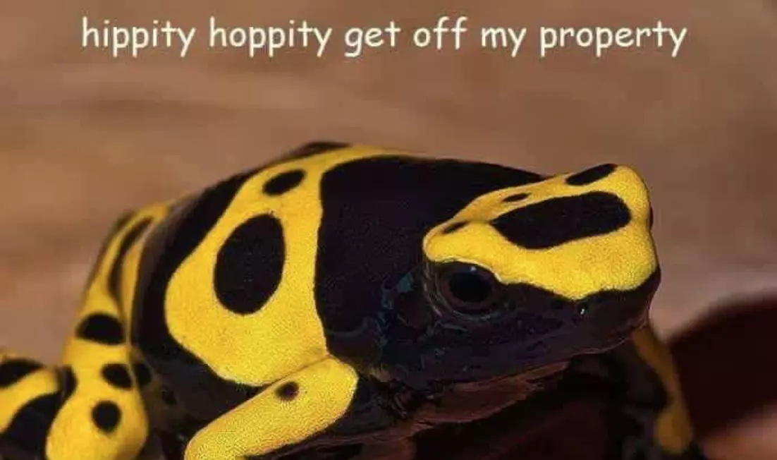 hippity hoppity meme image