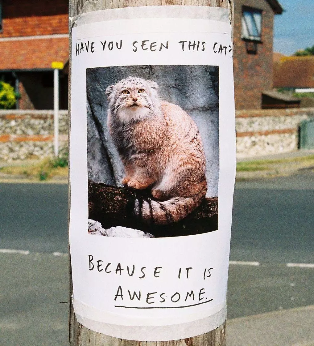 irl troll posters meme image